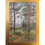 C.P Sary (?), landscape with pine trees, signed, mounted and gilt framed. (7in x 10in)