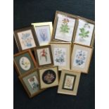 Miscellaneous framed floral prints including pairs, two watercolours, Redouté, etc. (11)