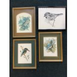 Three gilt framed bird prints - robin, kingfisher and chaffinch; and a pen & ink study of a bird
