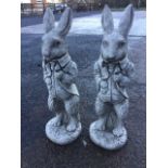 A pair of composition stone Benjamin Bunny style standing rabbits. (21in) (2)