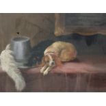 D Witton Motley, oil on canvas, study of two king charles spaniels on shelf with feathered hat,