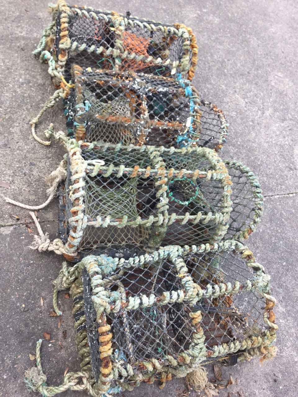 Four three-hoop lobster pots of rectangular arched form. (4) - Image 3 of 3