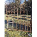 A wide Victorian wrought iron garden gate with spear finials to rails framed by scrolled ironwork,
