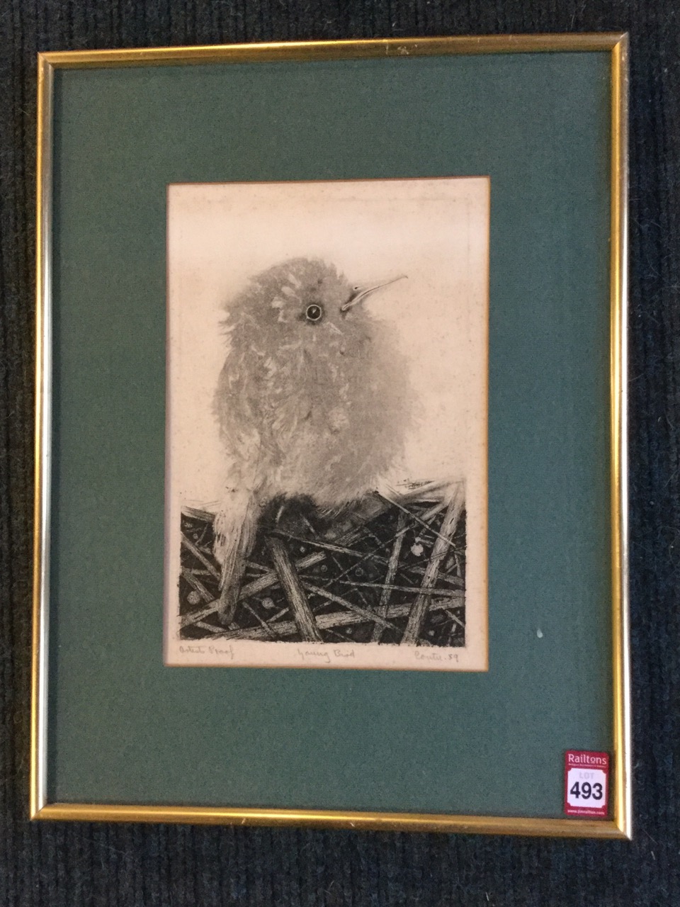 Jack Coutu, artists proof etching titled Young Bird, signed in pencil on margin and dated, mounted & - Image 3 of 3