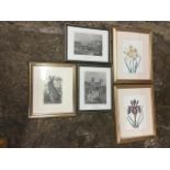 A pair of framed nineteenth century steel engravings of Durham; a monochrome print of a hare in