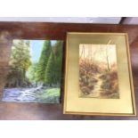 TB Patterson, pencil and watercolour, wooded landscape with stream, signed, mounted & framed; and