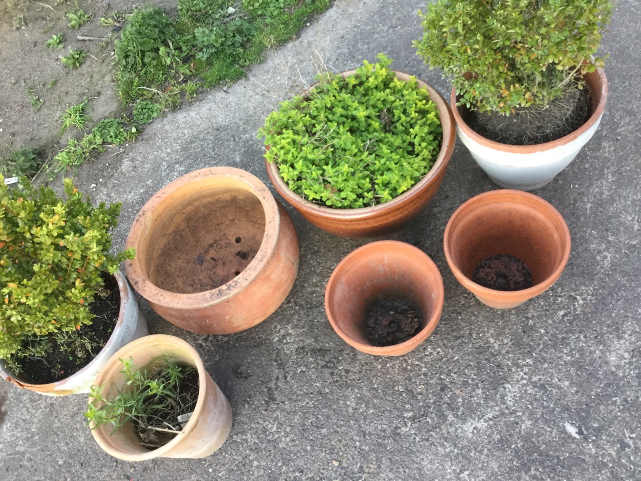 Seven miscellaneous garden pots - salt glazed, two pairs, terracotta, etc. (7) - Image 2 of 3