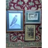 JF Clark, study of a falcon, mounted & framed; a 1916 Hughes etching of a Jerusalem church, signed