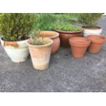 Seven miscellaneous garden pots - salt glazed, two pairs, terracotta, etc. (7)