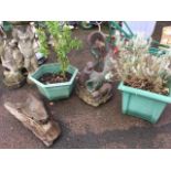 Two garden tubs with plants; a composition stone garden water feature with otters around a log;