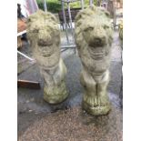 A pair of composition stone lions, the beasts seated on their haunches with shaped plinths. (19.5in)