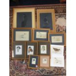 Miles Hopper, five miniature watercolours of birds, the studies signed, mounted & framed; three