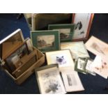 A box of miscellaneous prints including buildings and landscapes, The Farne Islands, a 1929 Caged