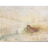 Richard Harrison, watercolour, woodcock in landscape, signed, mounted & framed. (21in x 14.25in)