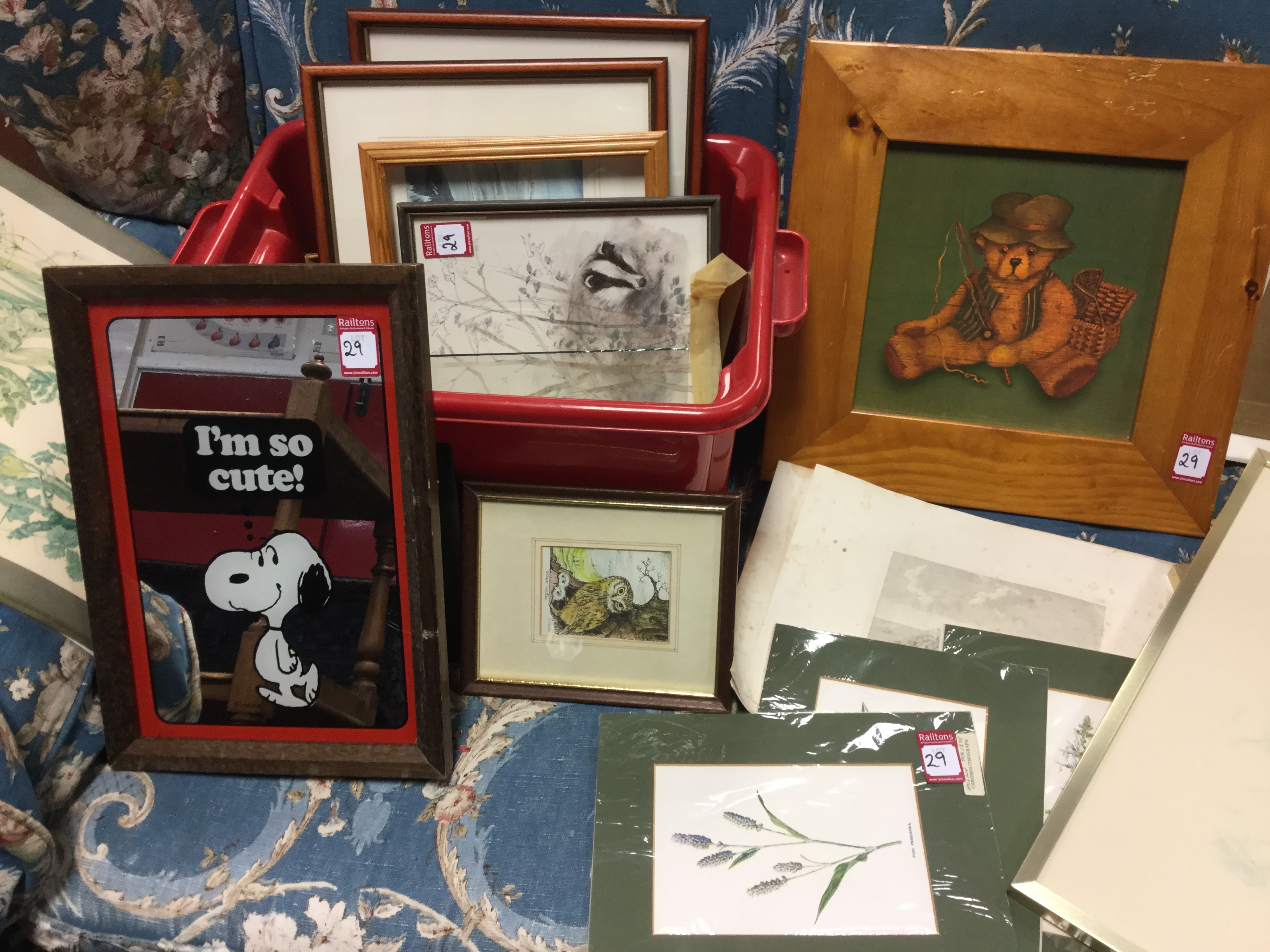 A box of miscellaneous framed prints, photographs, pressed flowers, three Zapp prints, some