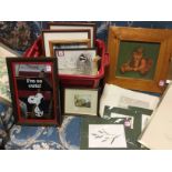 A box of miscellaneous framed prints, photographs, pressed flowers, three Zapp prints, some