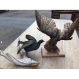 A taxidermy kestrel mounted on naturalistic log with rectangular moulded plinth; and a moorhen