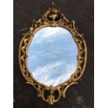 An oval rococo style gilt mirror, with acanthus leaf scrolling having pierced framed around a shaped