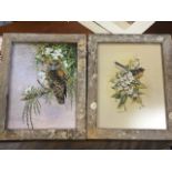 Jeanette Blackburn, coloured print of an owl in rustic frame; and another of a New Zealand fantail