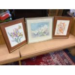 Joyce Gray, pencil & watercolour, white clematis, signed, mounted & framed; and a pair of framed,
