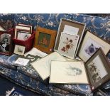 A box of miscellaneous framed prints, photographs, pressed flowers, three Zapp prints, some