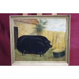 Early twentieth century naive school oil on board - a prize black pig by its sty, in gilt frame,