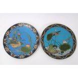 Pair of late 19th century Japanese cloisonné chargers decorated with birds and flowers within