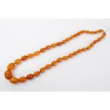 Old amber bead necklace with a string of graduated 'butterscotch' amber beads measuring