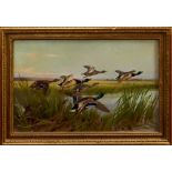 Thomas Blinks (1860-1912) oil on canvas - Mallards in flight over reeds, signed, in gilt frame,