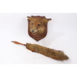 An early twentieth century Fox Mask and Brush, the East Essex Fox Hounds, Monks Wood,