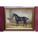 Late nineteenth / early twentieth century oil on board - a horse in a stable, framed,