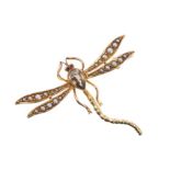 Edwardian novelty gold and gem set dragonfly brooch with seed pearl wings.