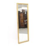 19th century narrow gilt wood pier mirror, original mirrored plate in plain moulded frame,