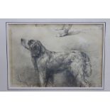 Arthur James Stark (1831-1902) pencil sketch of a dog, inscribed, in glazed frame, 15cm x 22.