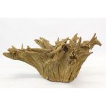 Large inverted skeleton tree stump approximately 123cm wide