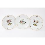 Pair of 19th century Meissen outside decorated plates with painted polychrome bird and insect