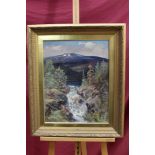 Early 20th century Continental School oil on canvas - Waterfall among woodland, indistinctly signed,