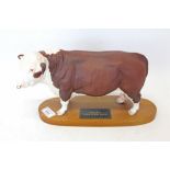 Beswick Connoisseur model - Potted Hereford Bull,