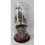 Victorian shell floral display under a glass dome on an ebonised plinth,