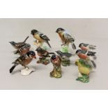 Selection of Beswick birds - including Greenfinch, Bullfinch, Chaffinch, Grey Wagtail, etc,