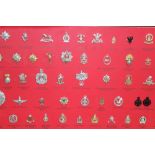 Collection of 80 British Military Stay Brite cap badges mounted on board and annotated with