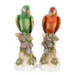 Pair of impressive early 20th German porcelain Macaw parrots