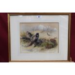 Archibald Thorburn (1860-1935) hand coloured lithograph - Pheasants in woodland...