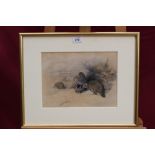 Archibald Thorburn (1860-1935) hand coloured lithograph - English Partridge in snow...