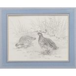 Robert W. Milliken (1920-2014) pencil drawing - English Partridges, signed...