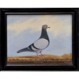 Edward Henry Windred (1875-1953) oil on canvas - a racing pigeon, entitled ‘Messrs Luxford & Sons...