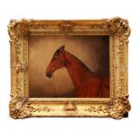 Follower of Edwin Landseer (1802-1873) oil on canvas - a bay horse, in gilt frame, 22cm x 28.5cm