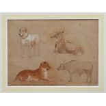 William Strutt (1825-1916) two pencil and watercolours heightened with white - studies of a lion