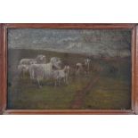 Late 19th century naive school oil on canvas - sheep on a hillside, indistinctly signed, framed,