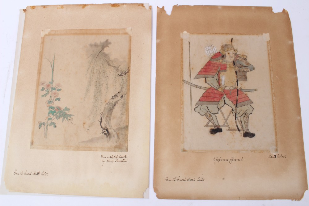 Attributed to Kano Tashin (1653-1718) watercolour - botanical study and a Kano School watercolour